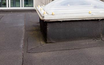 disadvantages of Aber Oer flat roofs