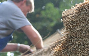 professional Aber Oer thatchers