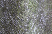 Aber Oer fibreglass roof work